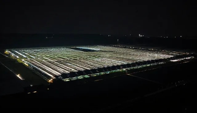 商务管理咨询:如何应对市场不确定性